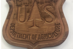 FSDA_Routed_UnpaintedShield