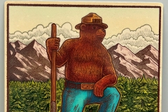 Smokey Bear Desktop Design #5