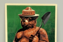 Smokey Bear Desktop Design #6